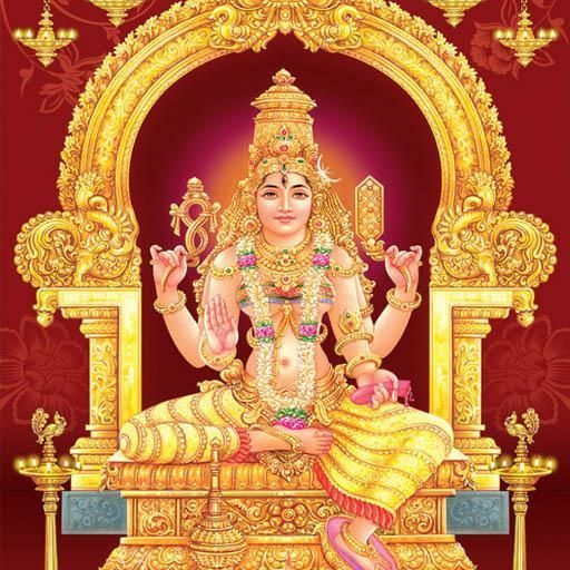 Goddess Baglamukhi